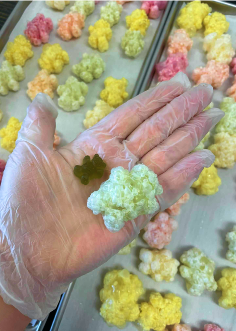 FREEZE DRYING