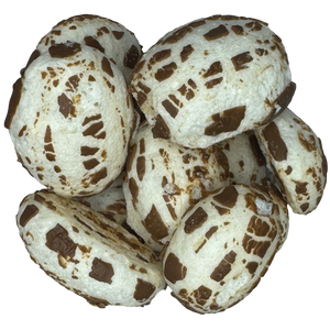 Freeze Dried Charlie Crunch Candy