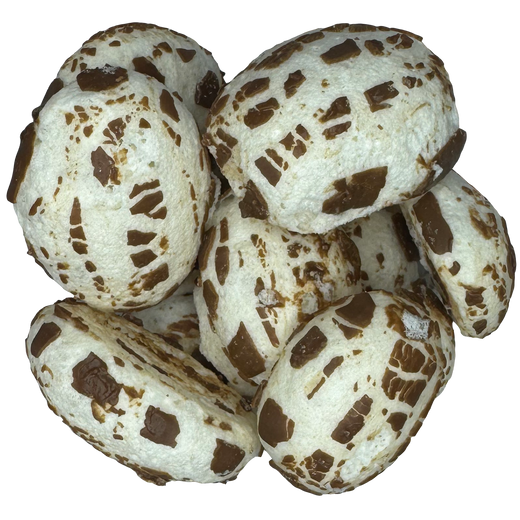 Freeze Dried Charlie Crunch Candy