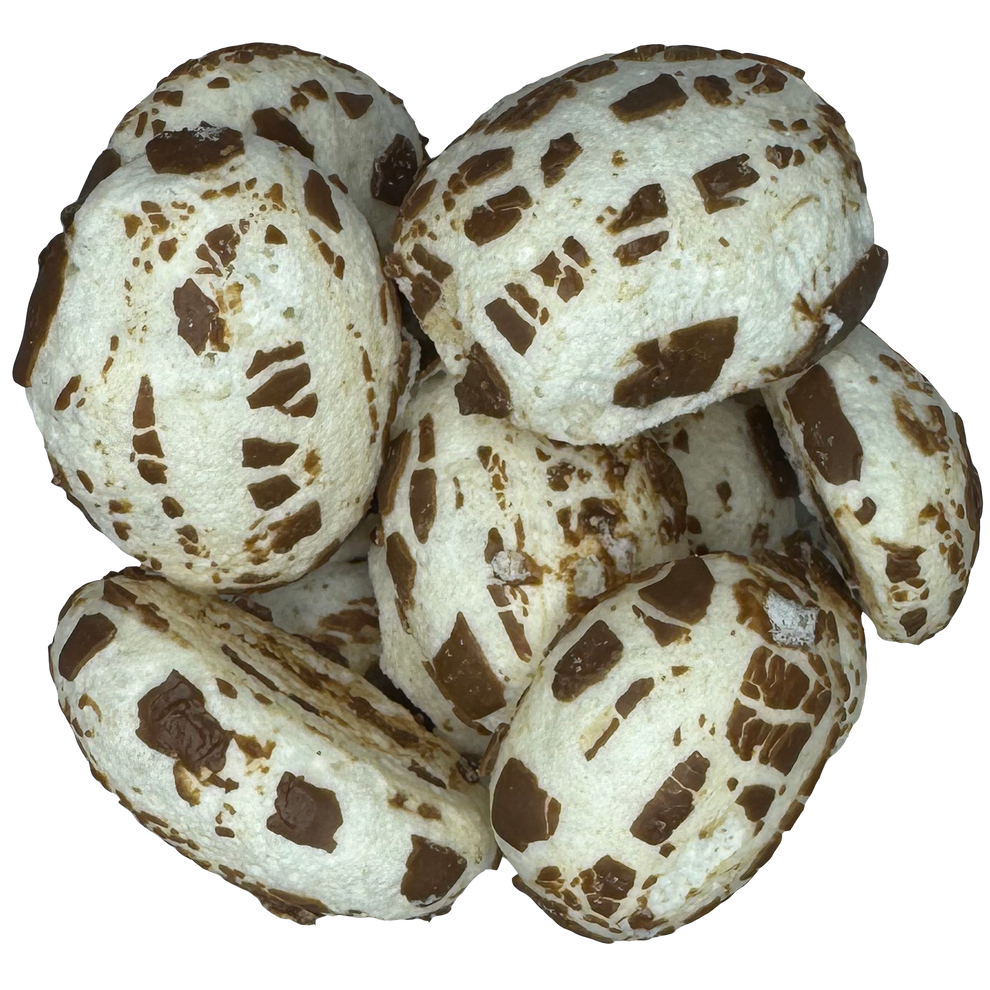 Freeze Dried Charlie Crunch Candy