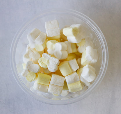 Freeze Dried Popcorn Mallows Candy